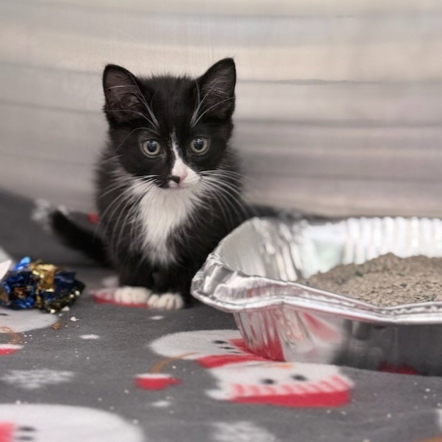 Teeny
