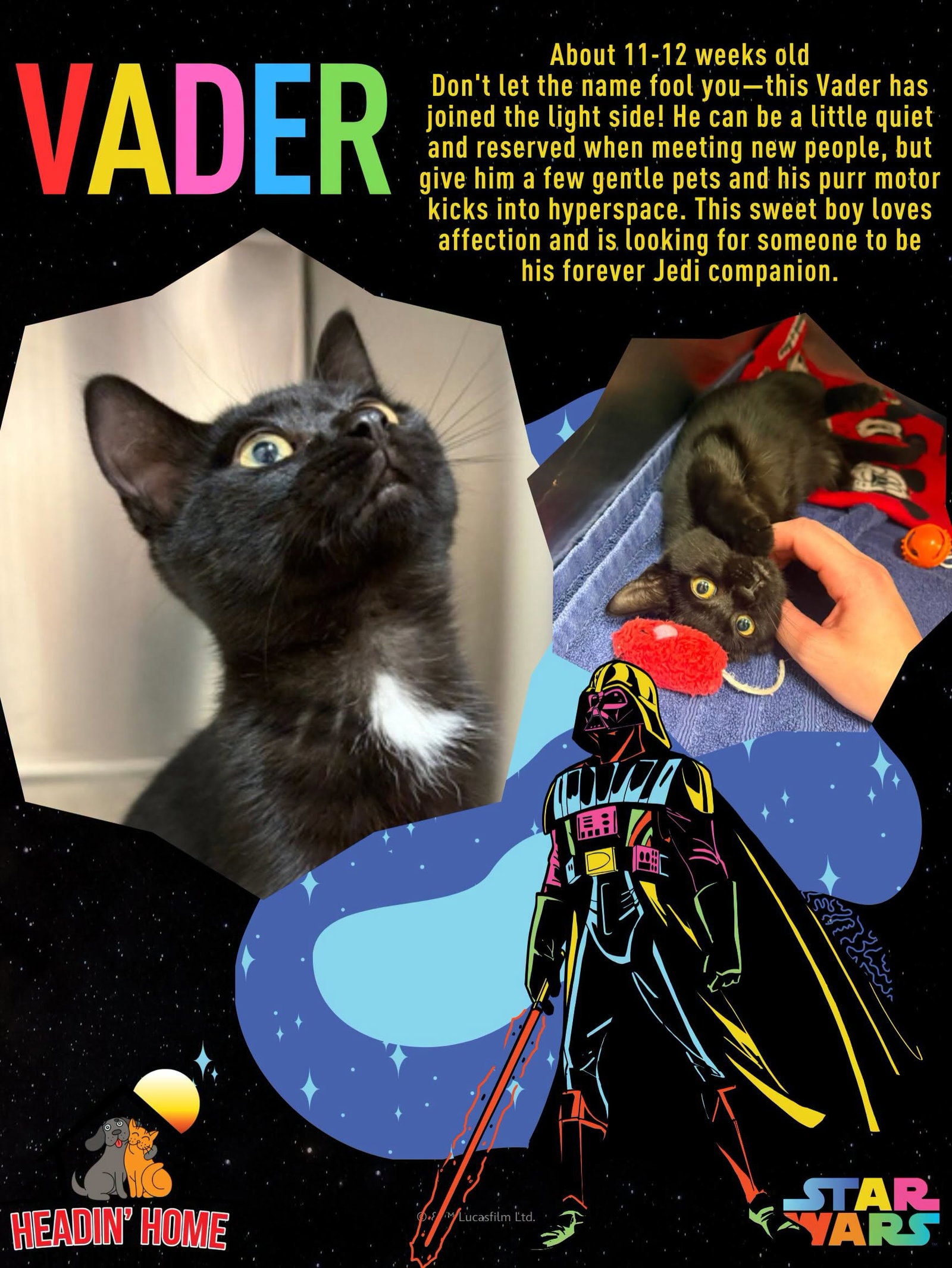 Vader
