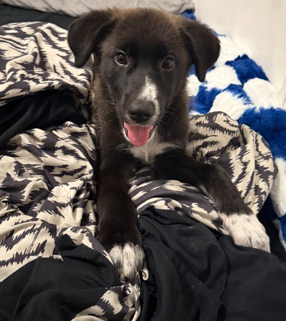 Luna