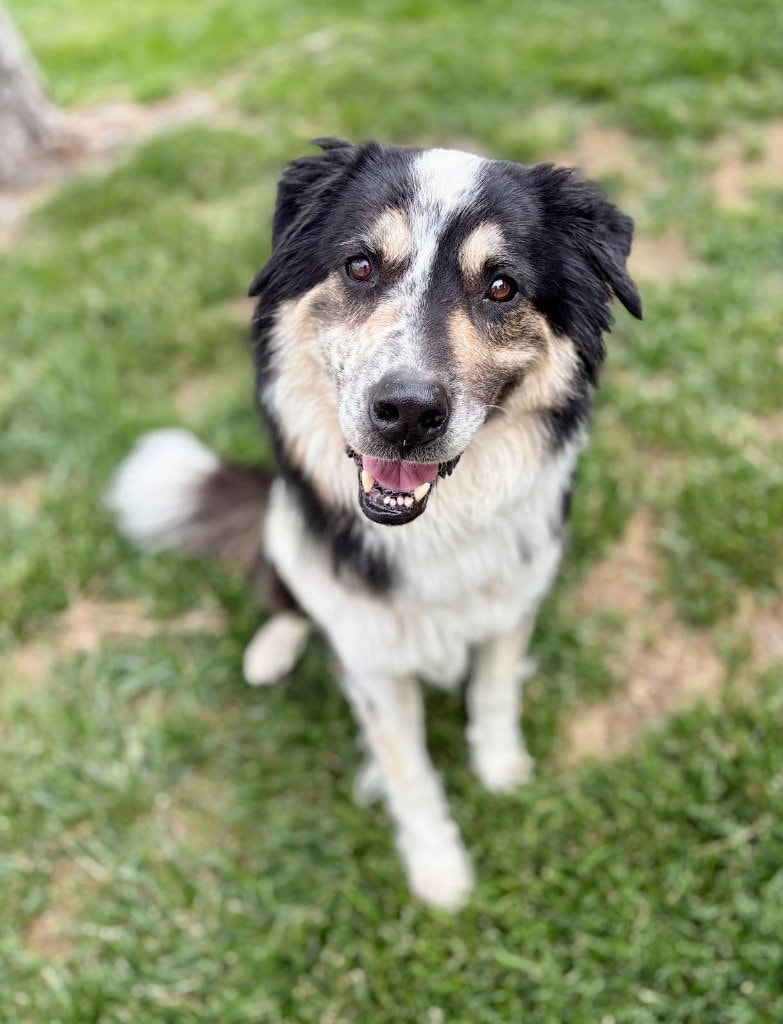 Eli