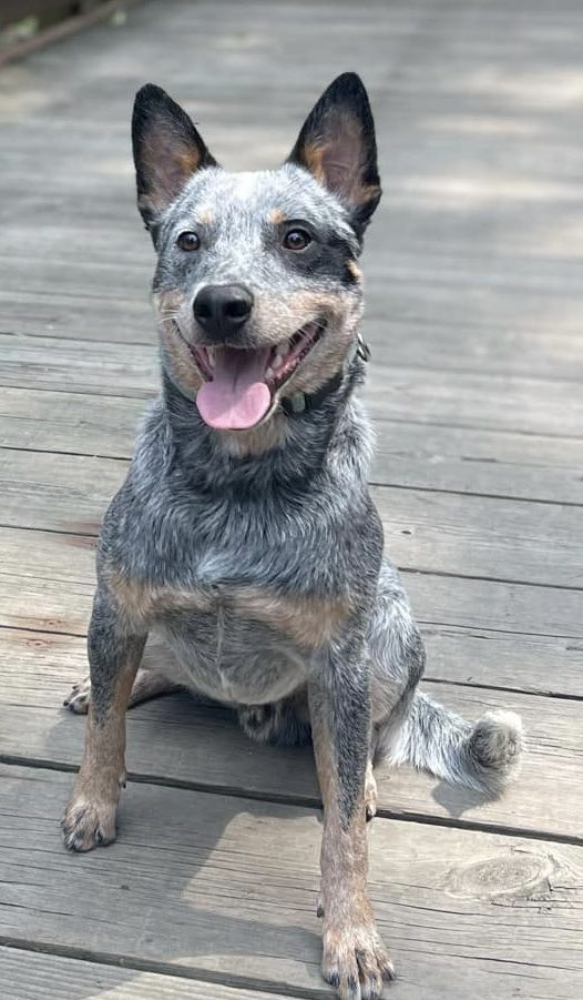 Leroy