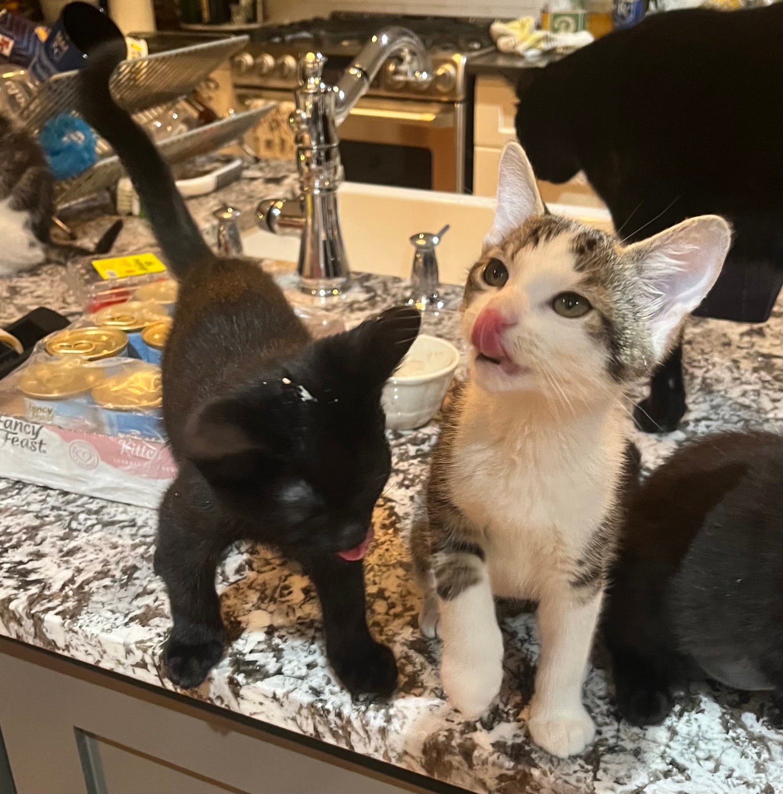 Silvio And Liliana