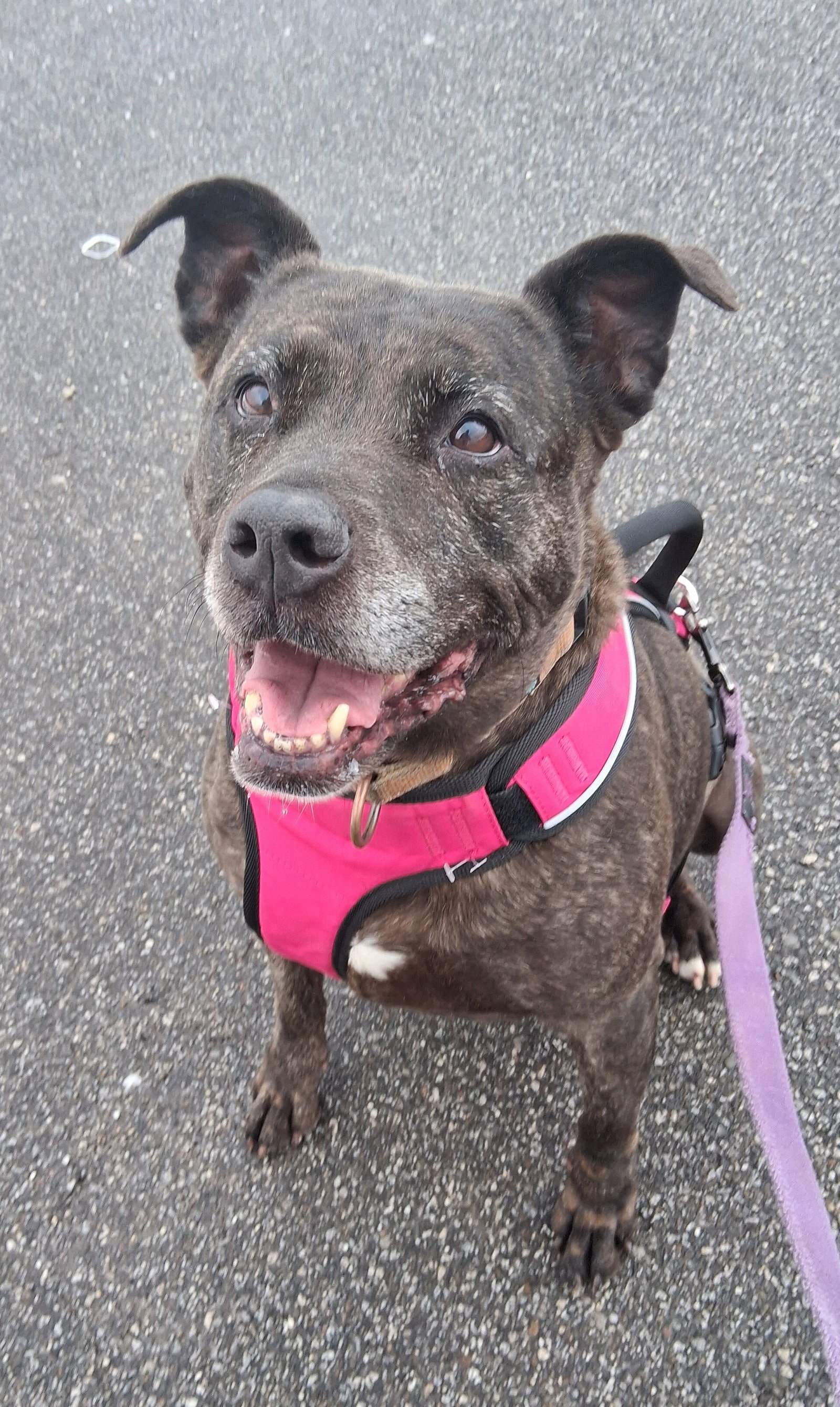 Holly Iso Forever Foster