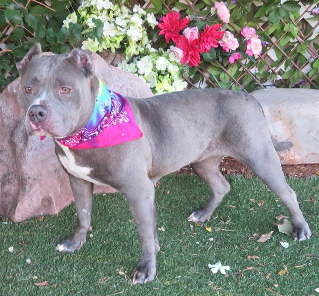 Fiona
