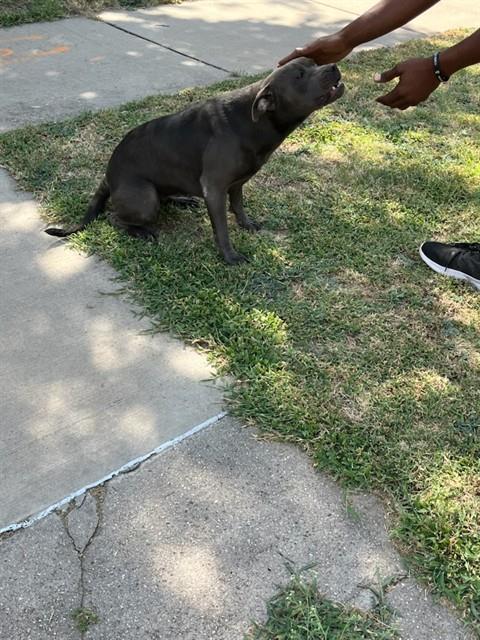 Big Mama
