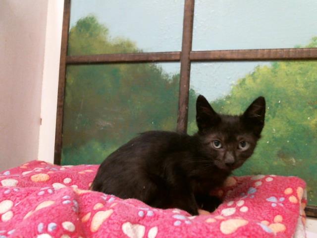 Unknown