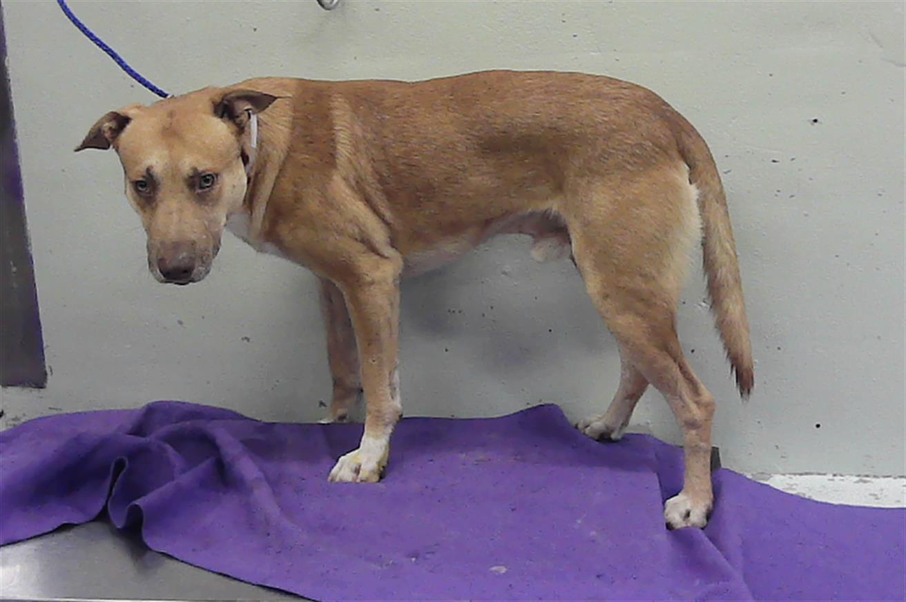 Unknown