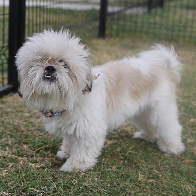 Charlie
