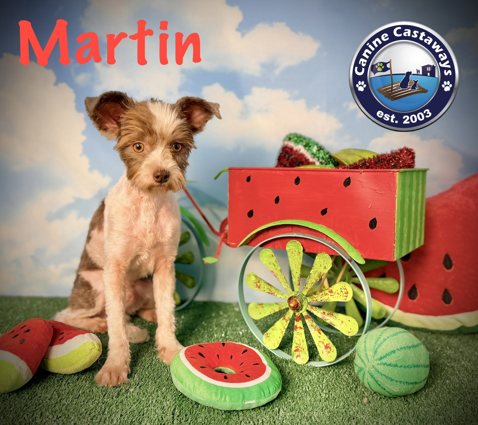 Martin