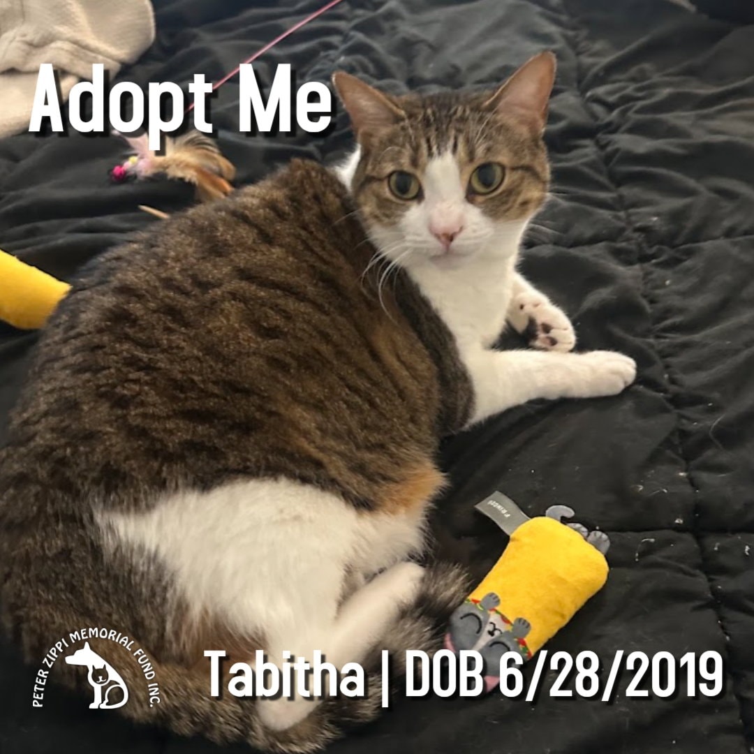 Tabitha