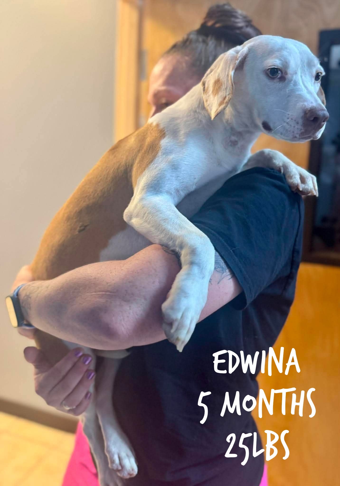 Edwina