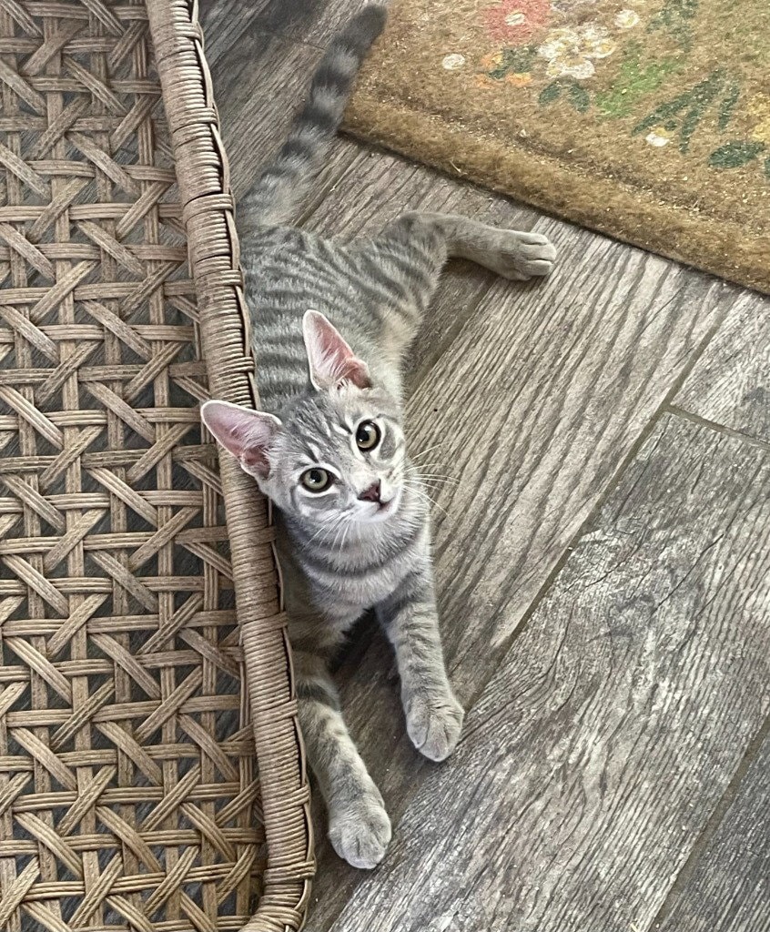 Juno