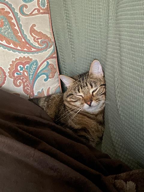 Tom