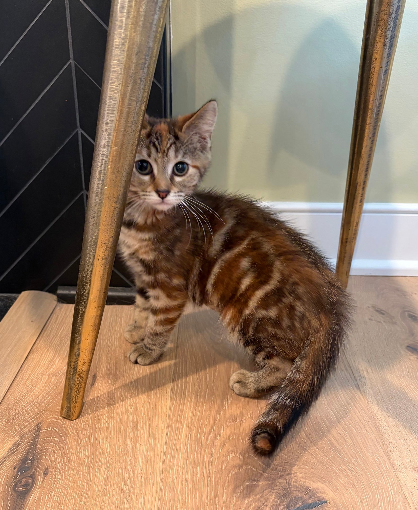 Penny