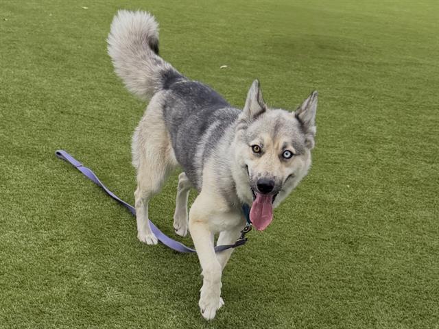 Klondike