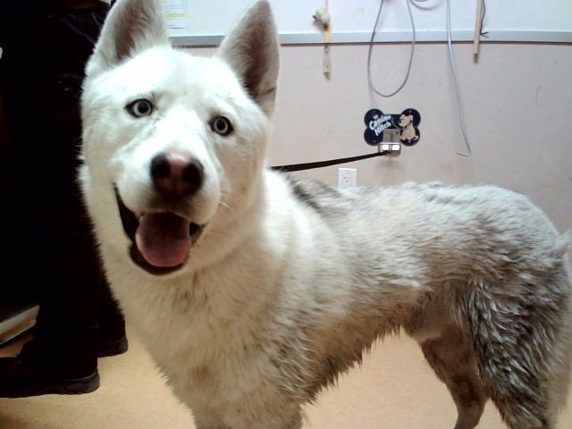 Yukon