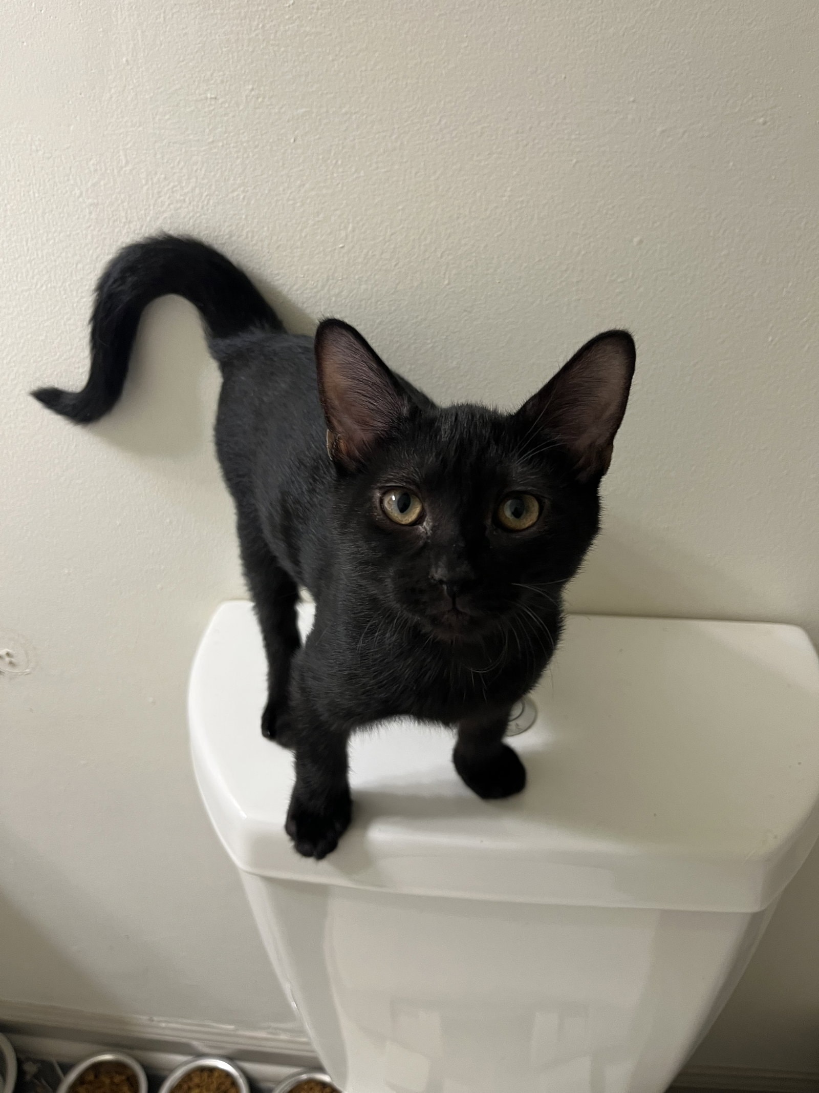Tiny
