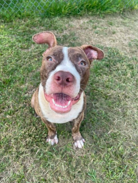 Unknown