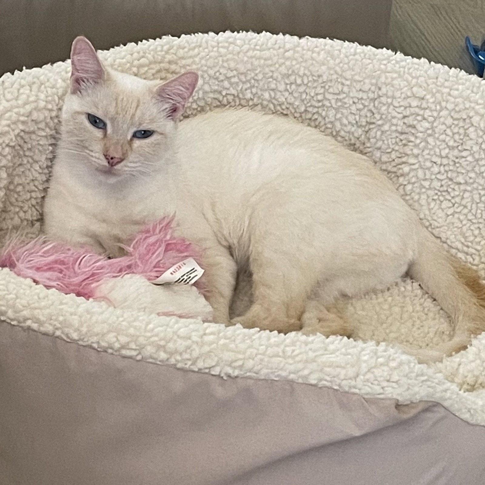 Luna