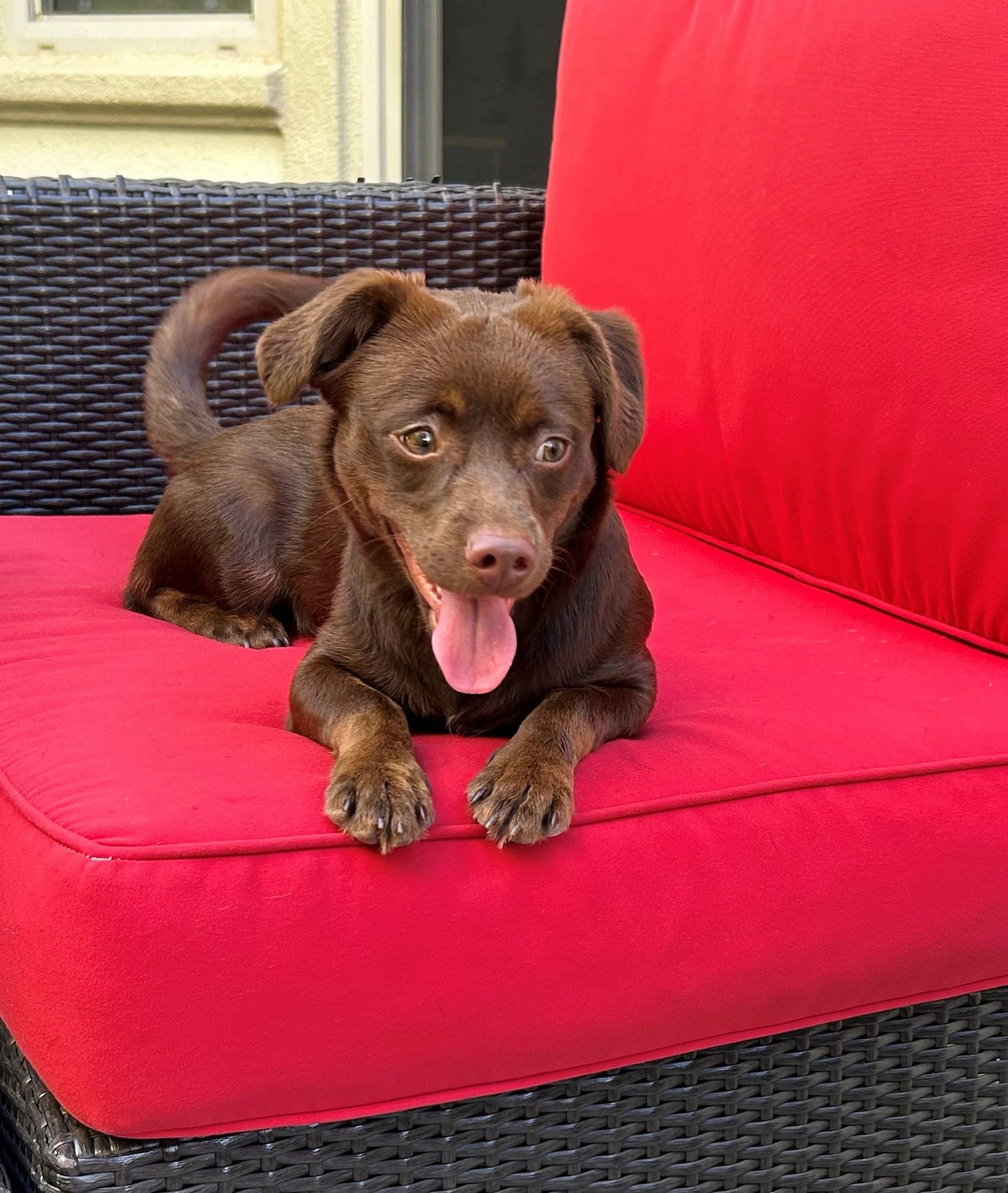 Coco