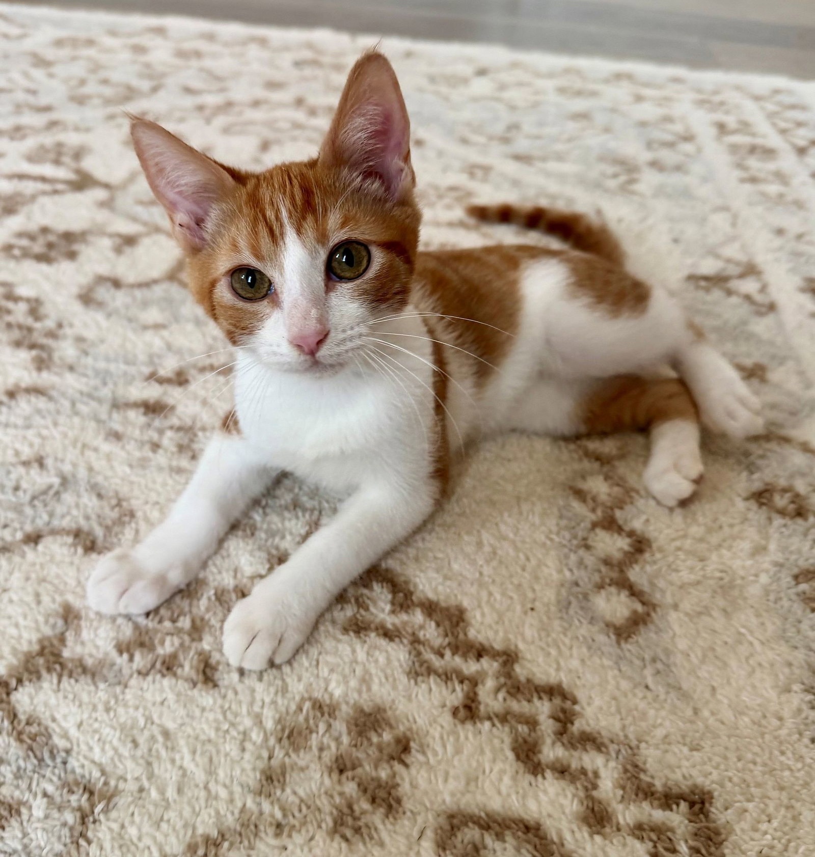 Charlie