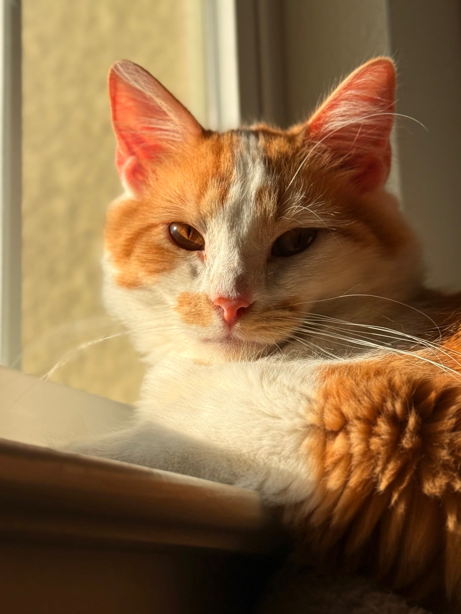 Sunny