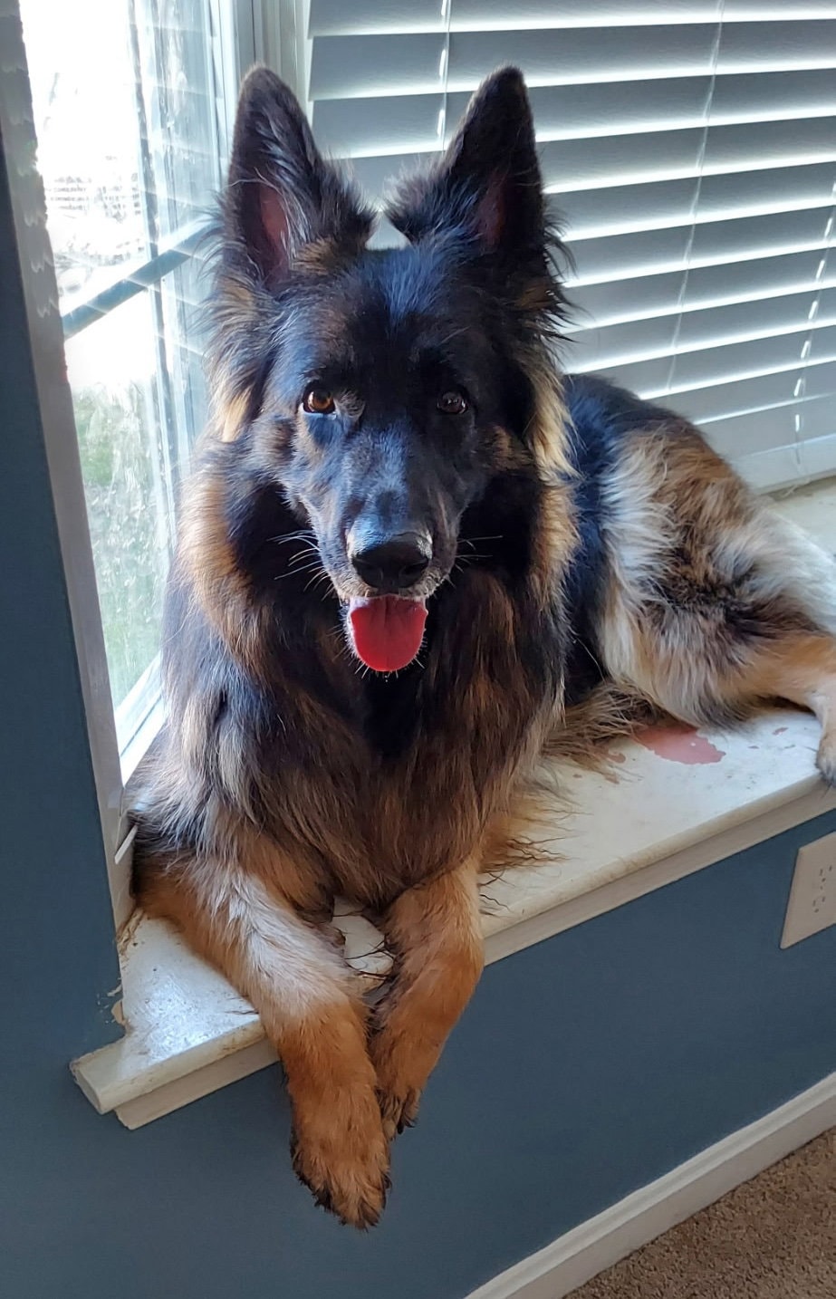 Athena