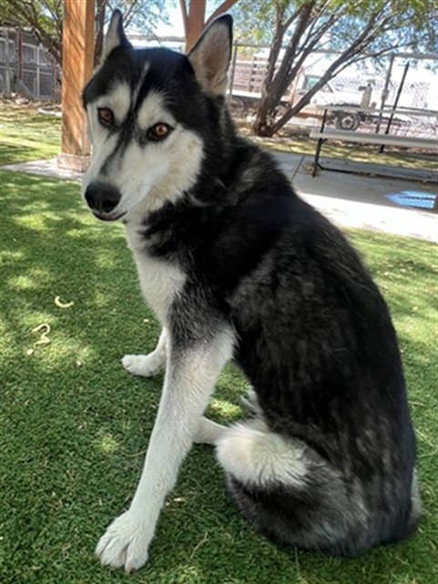 Luna