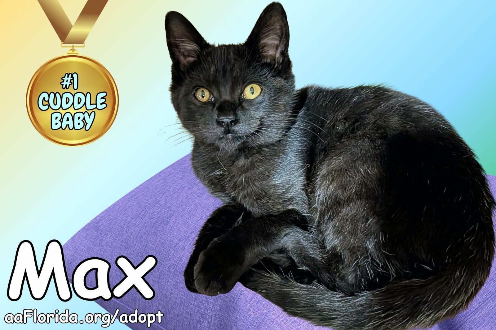Max