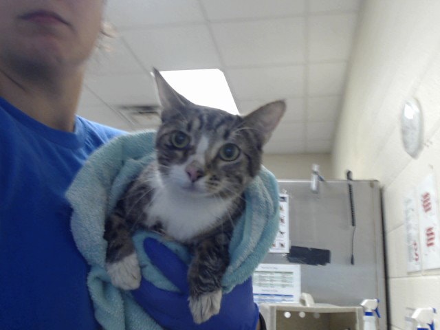 Unknown