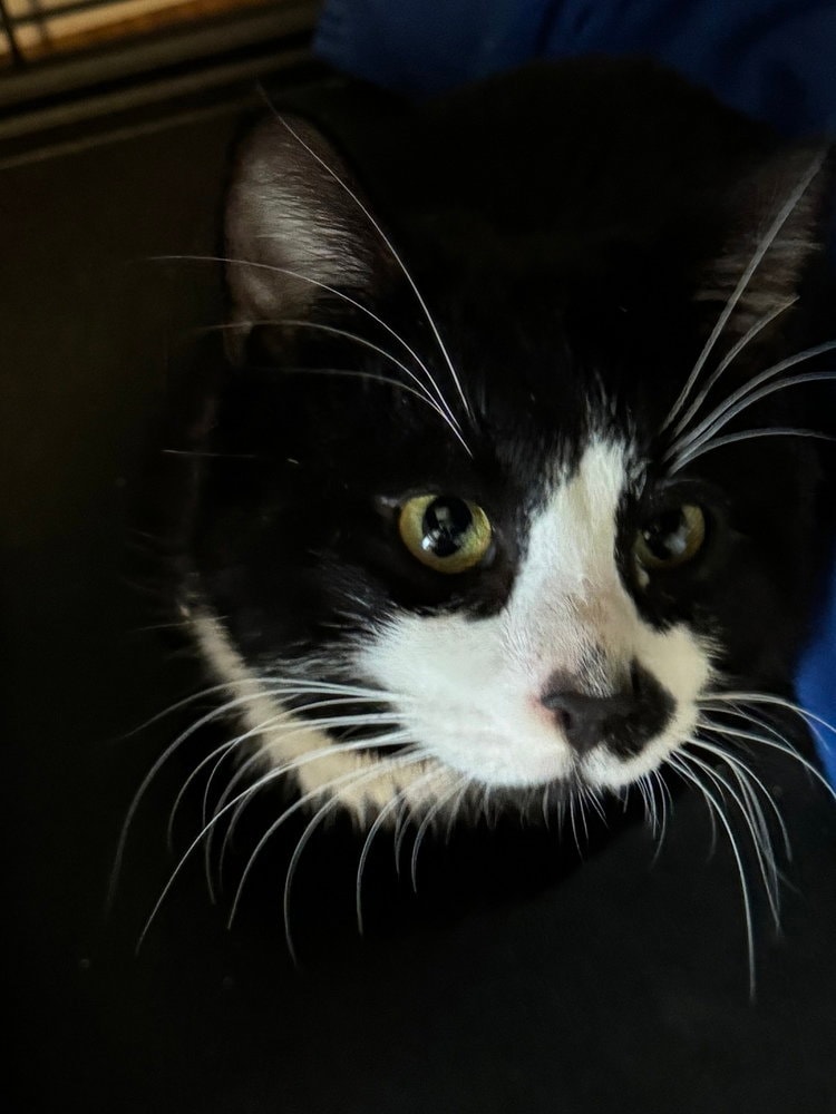 Tux
