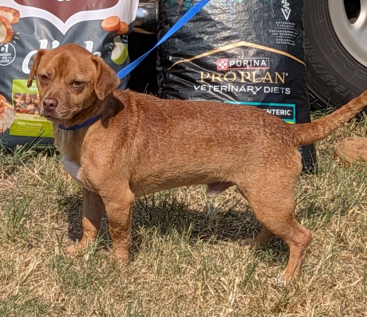 Oakley