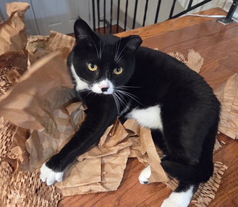 Tuxie