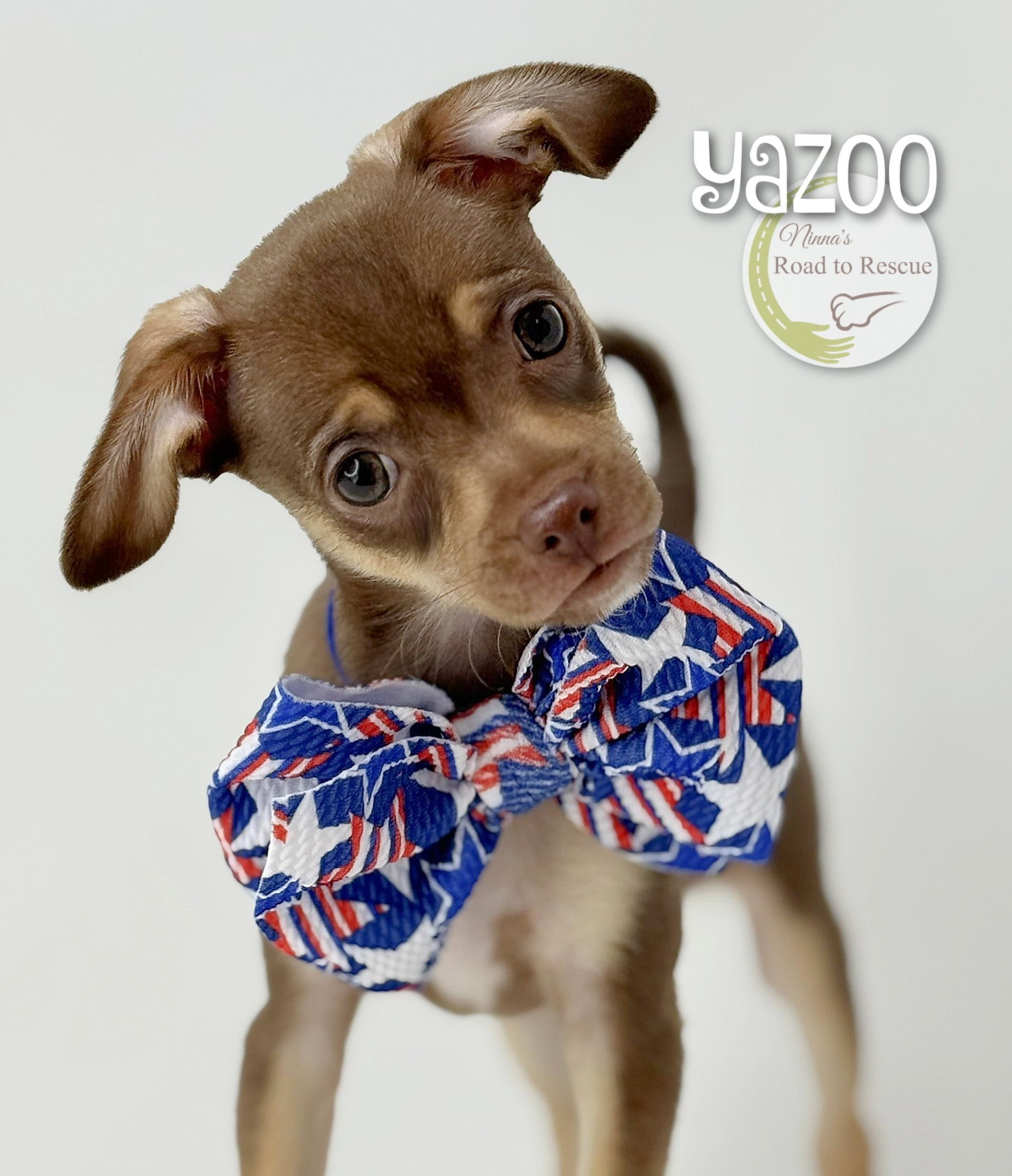 Yazoo
