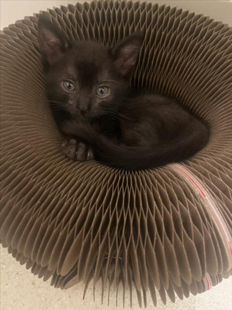 Stormy