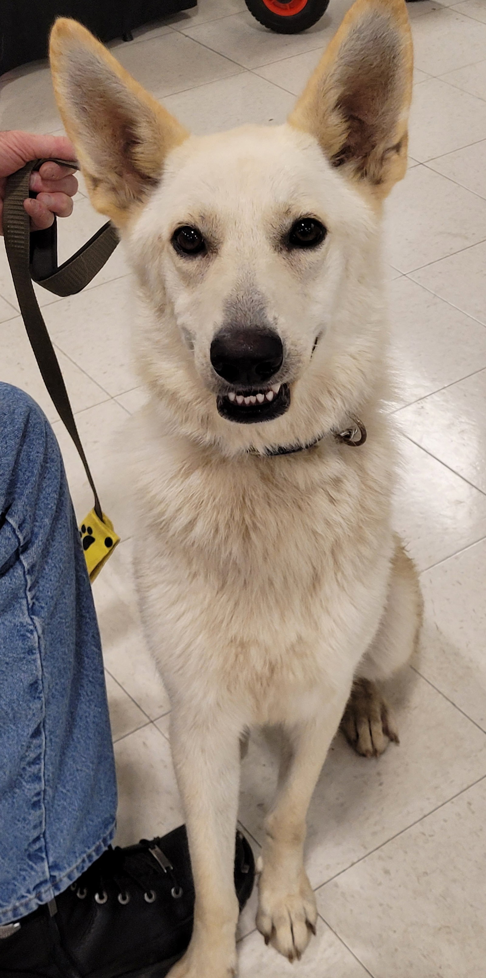 Mia