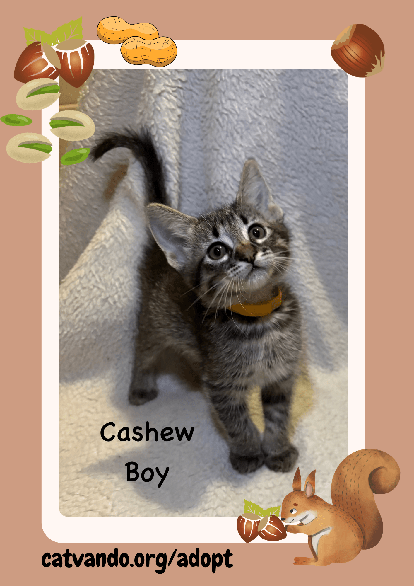 Cashew
