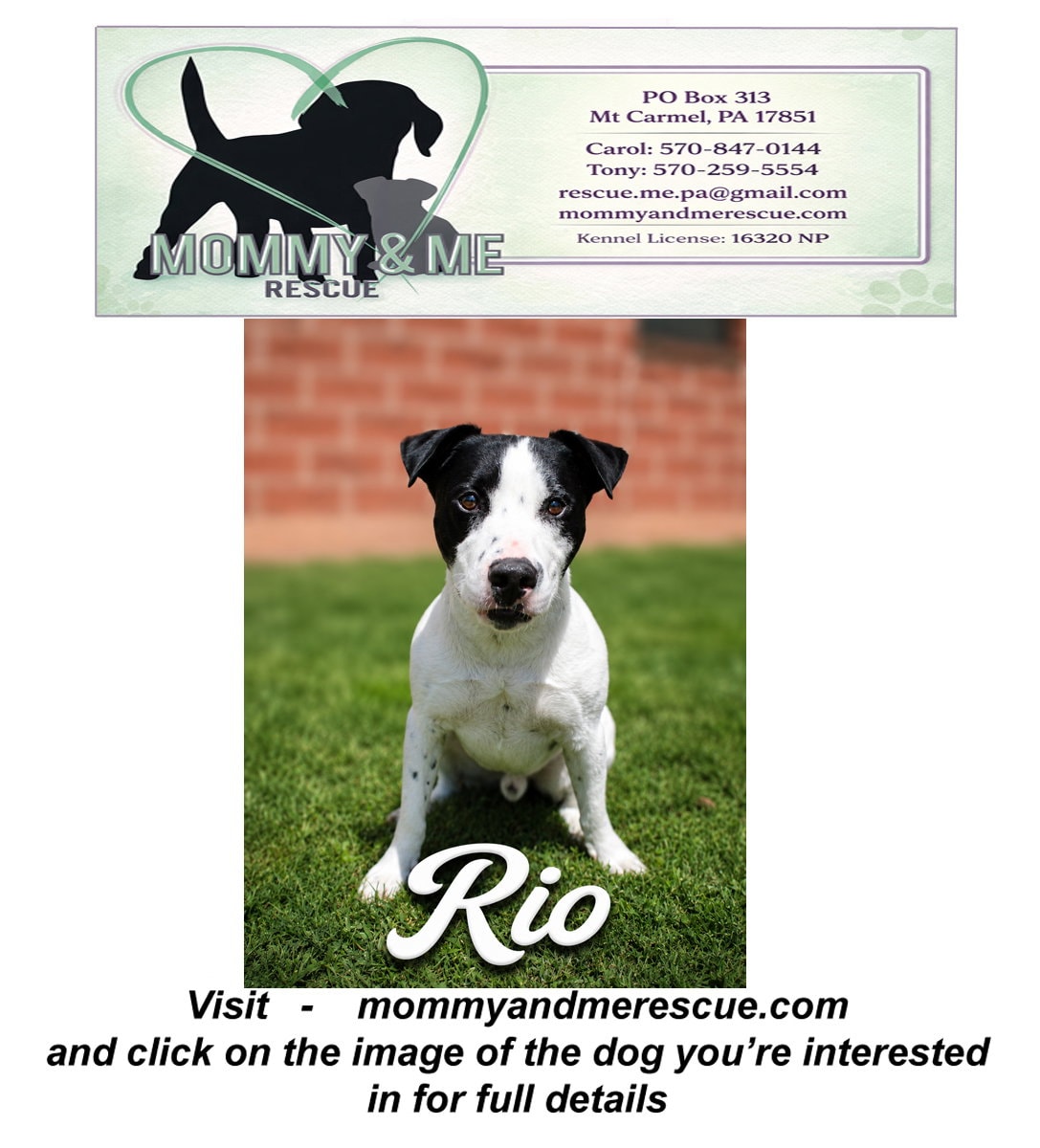Rio