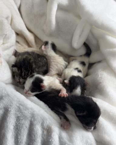Unknown