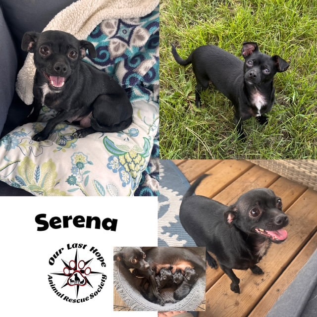 Serena