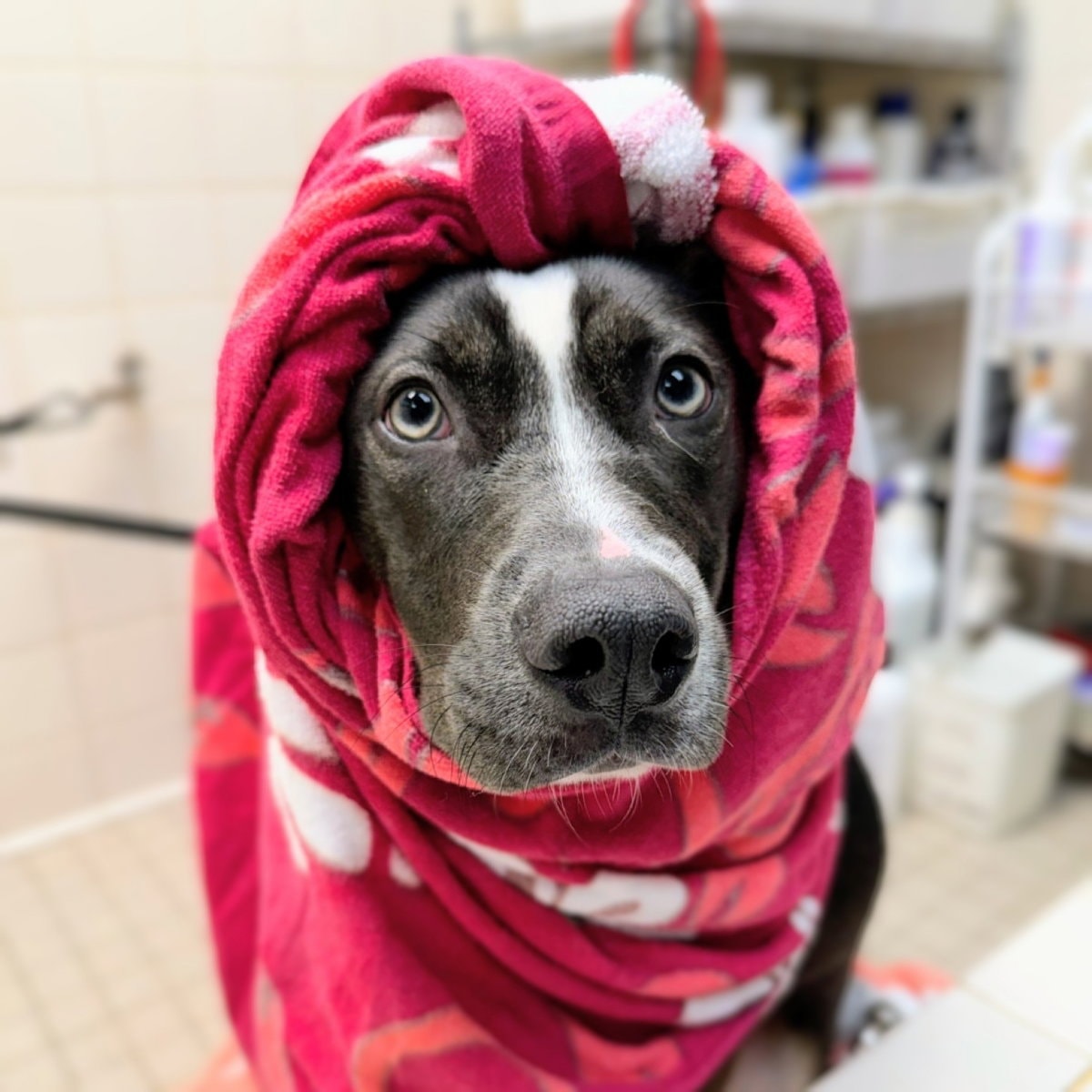 Minnie Winnie