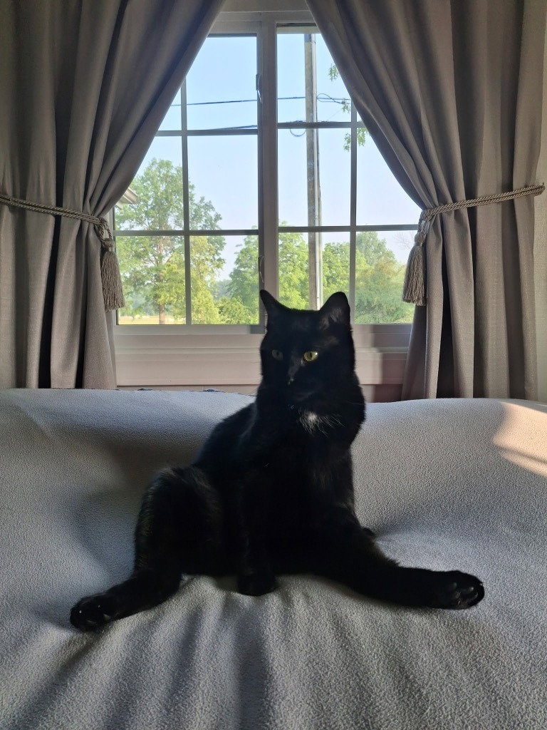 Ebony Blu