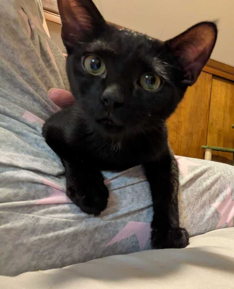 Franklin