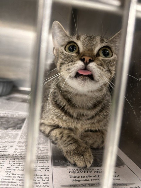 Unknown