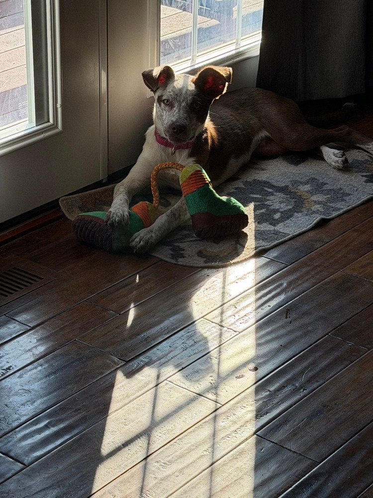 Luna