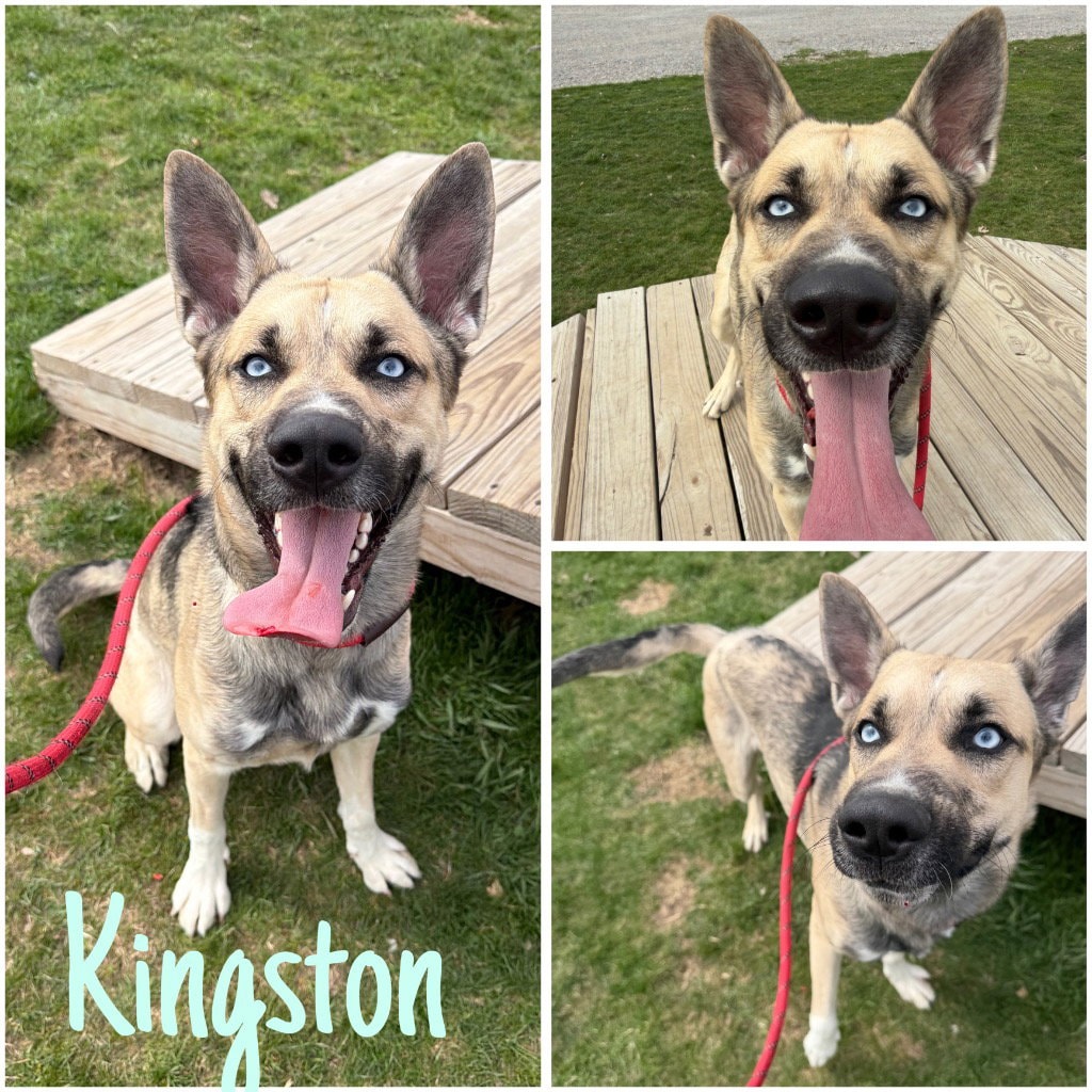 Kingston