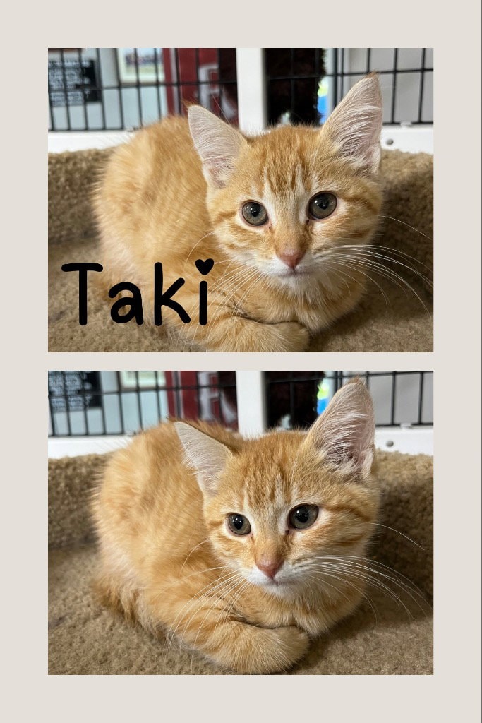 Taki