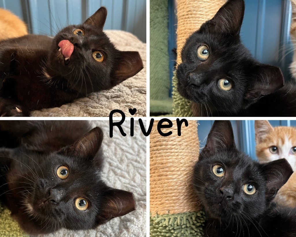 River