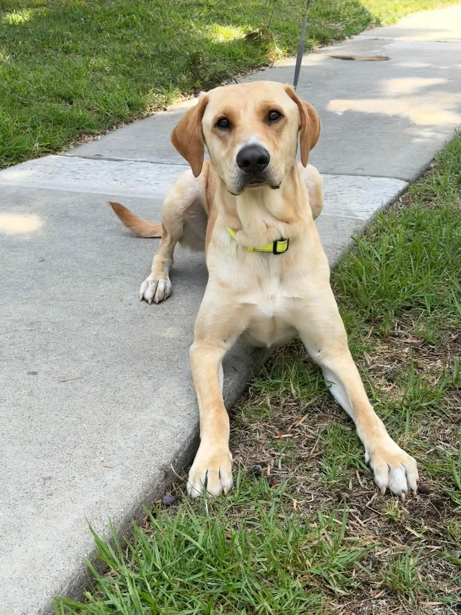 Duke