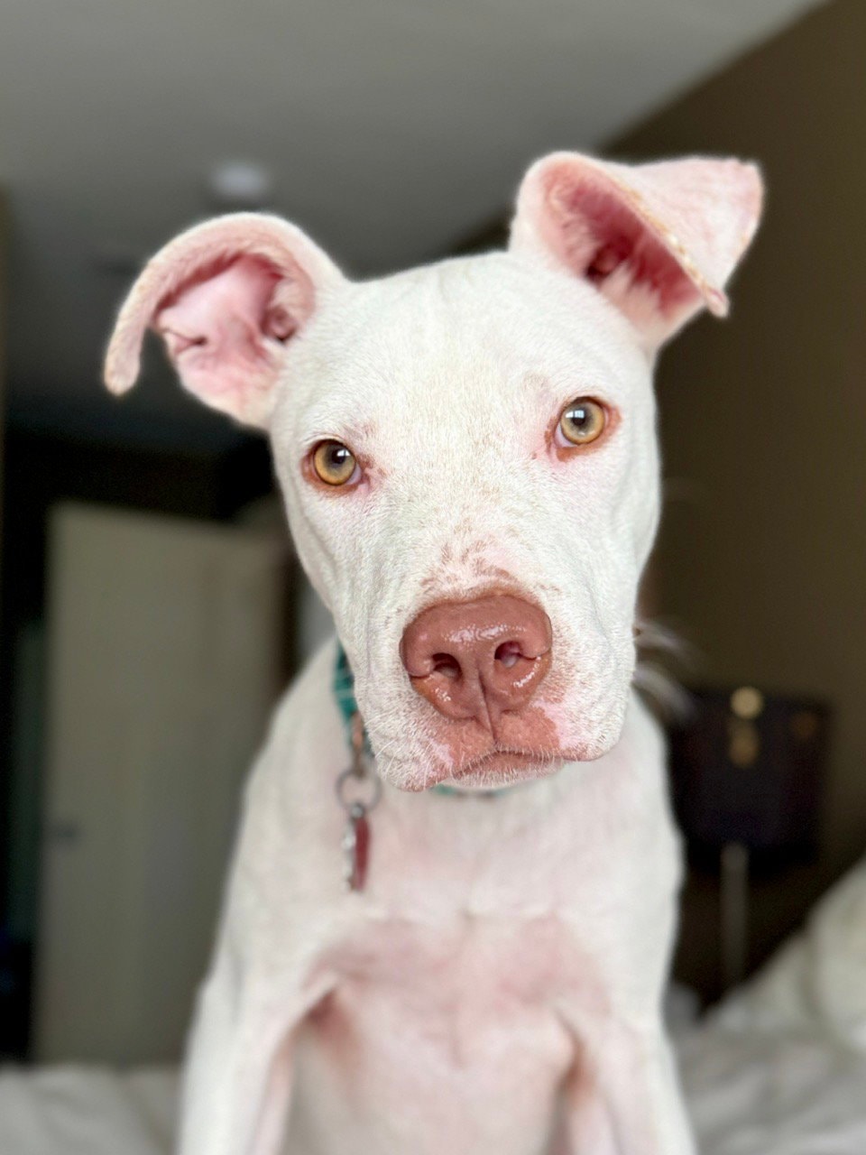 George